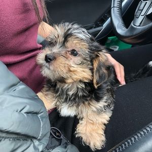 Meet your Posher, Tammy